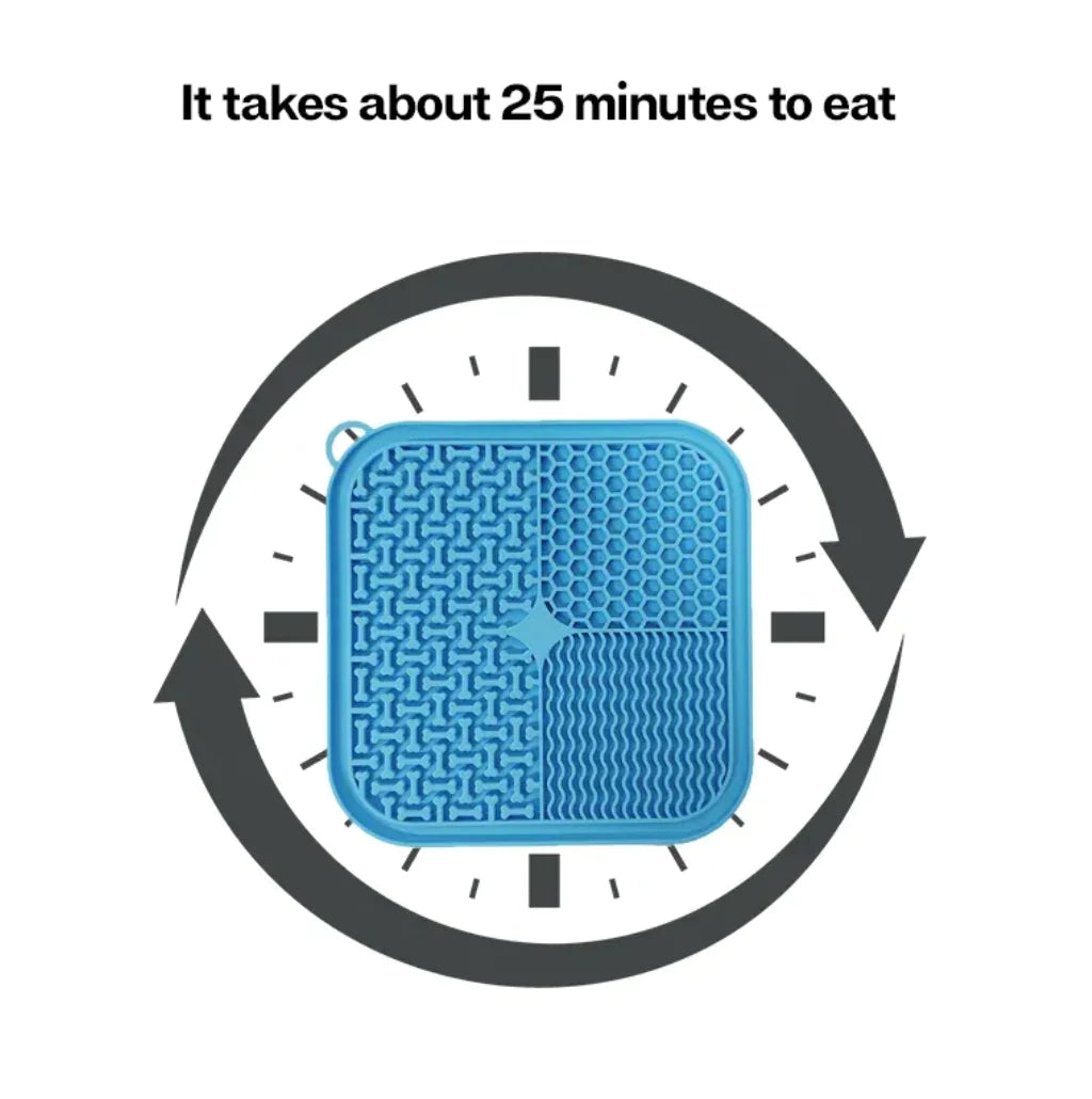 Blue textured plate with a clock graphic indicating 25 minutes on a white background