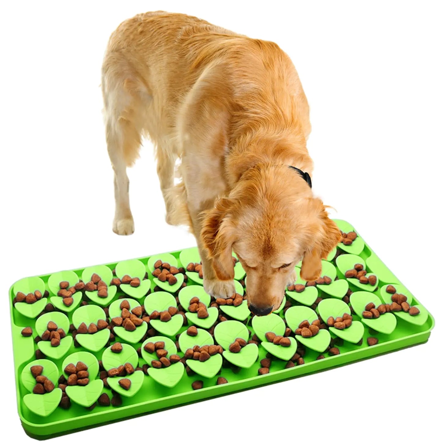 Dog eating from a green training snuffle mat with food on a white background