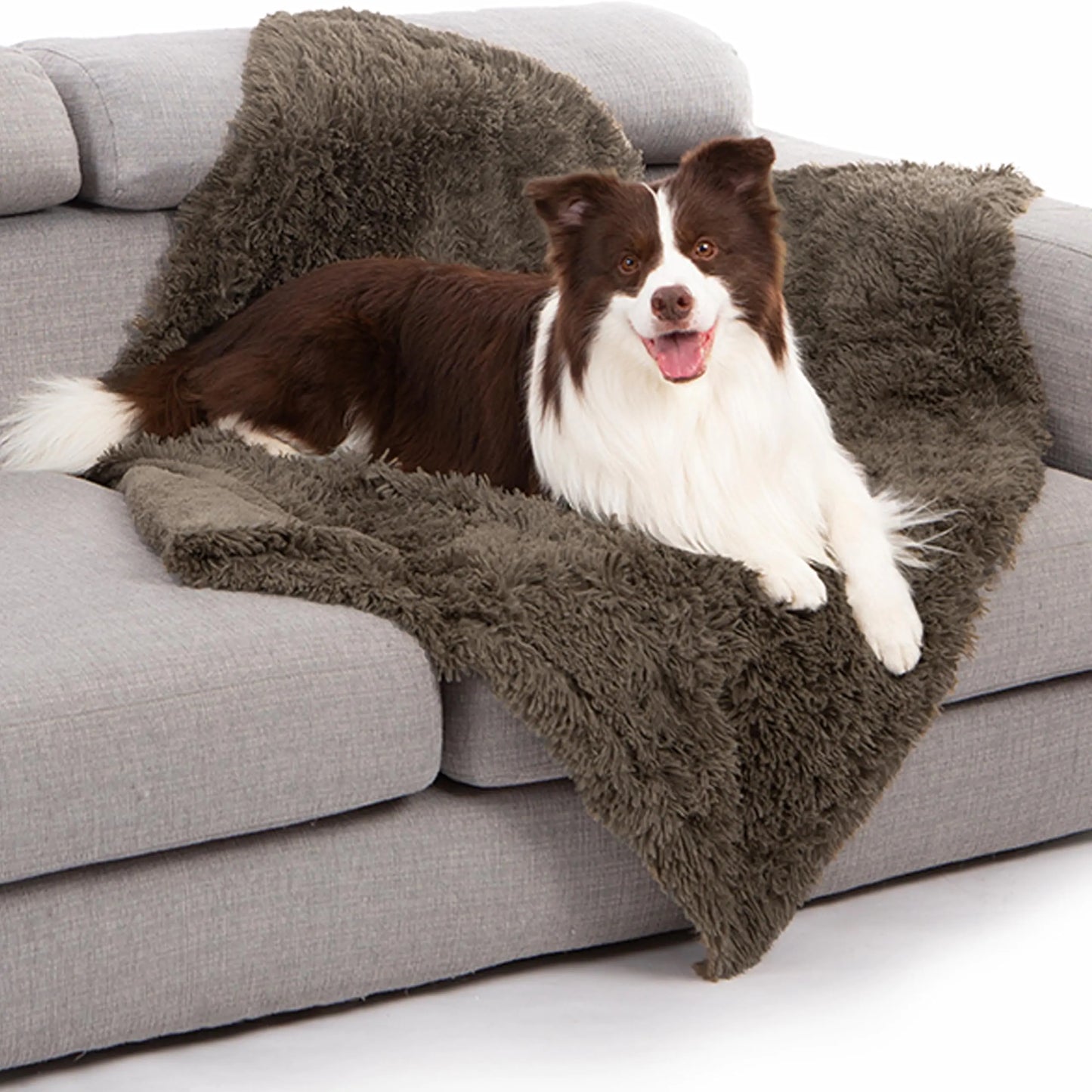 Dog lying on a fluffy brown blanket on a gray couch