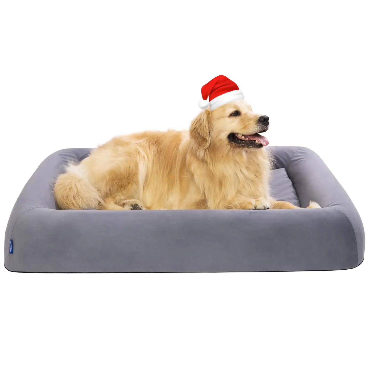 Dog wearing a Santa hat on a gray pet bed with a white background