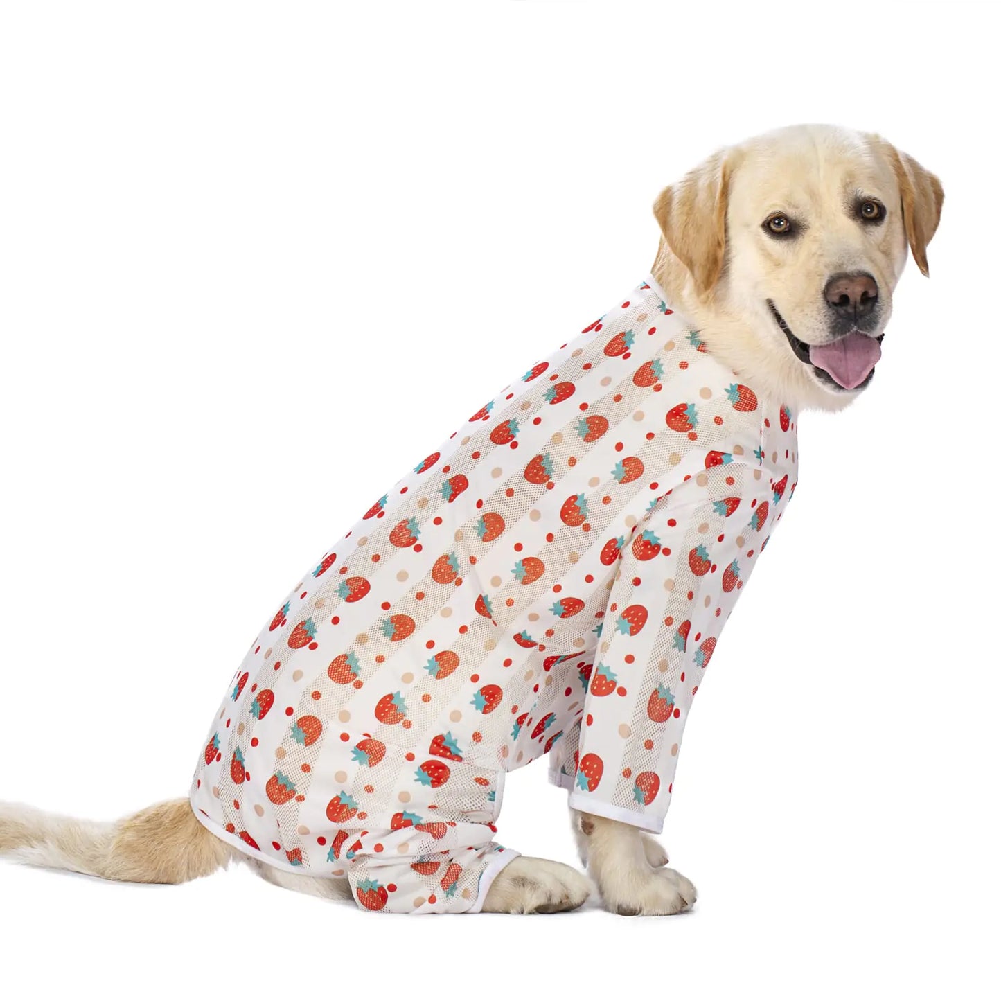 Dog wearing a strawberry patterned onesie on a white background