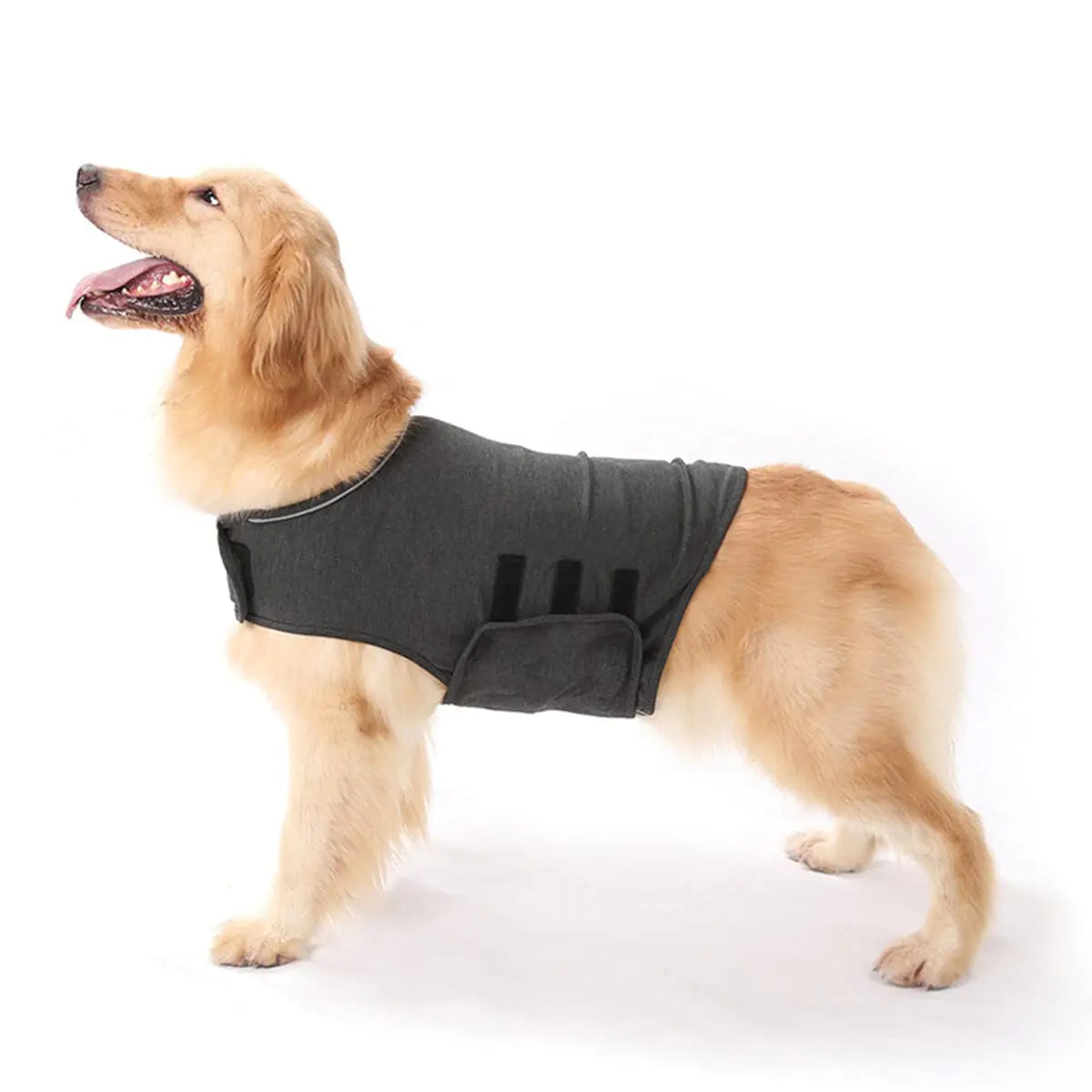iFCOW Dog Anxiety Relief Jacket Medium Deep Gray Cotton