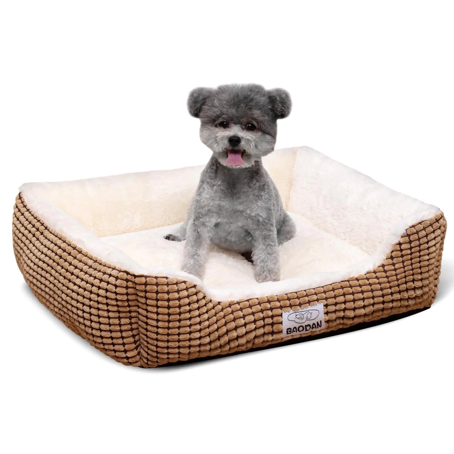 Small gray dog on a plush dog bed