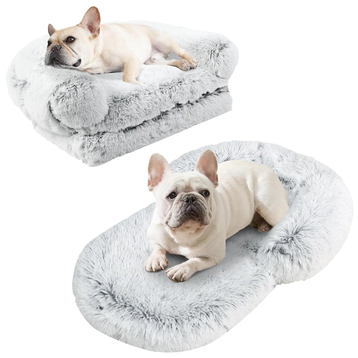 Two dogs on fluffy gray pet beds with a white background