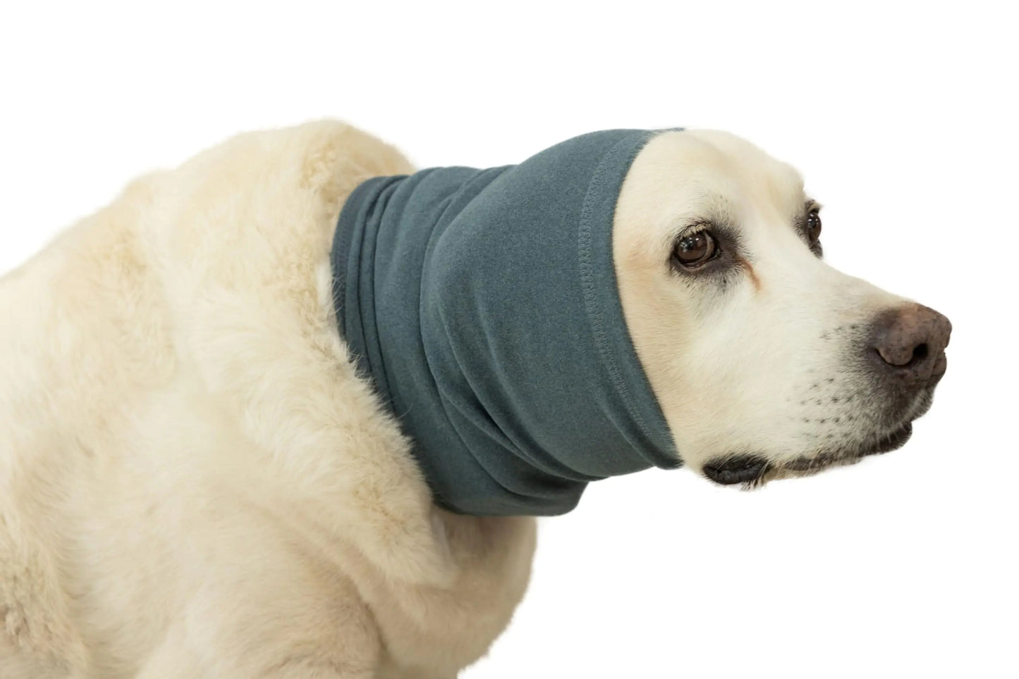 DDFS Dog No Flap Ear WrapPet Soothing Hoodie for Dogs&Cats-Anxiety & Stress Relief - Dog Ear Flap Wrap for Surgery Recovery Navy L