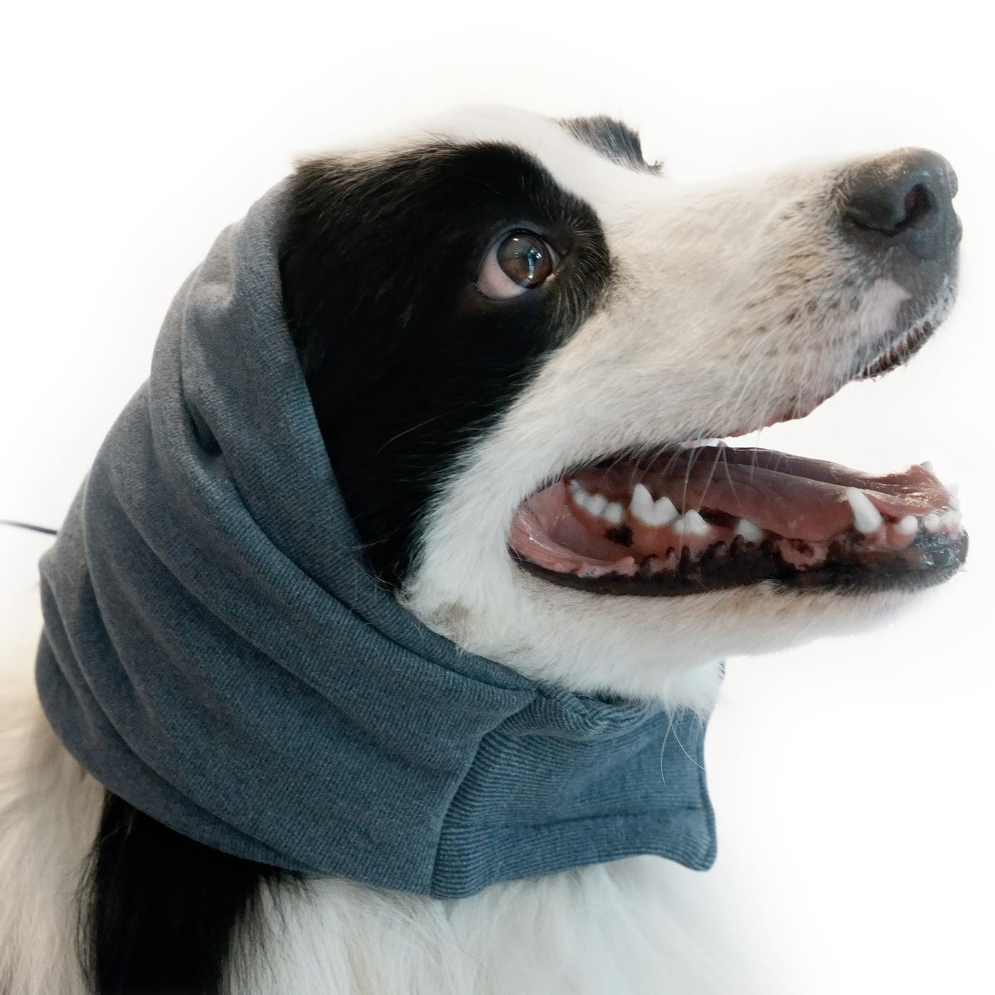 Rizzco Ear Guards for Dogs and Cats - Headband for Anxiety Relief No-Flap Ear Wraps Soft Ear Muffs for Noise Protection Sleeping Fireworks Grooming Drying and Thunderstorms