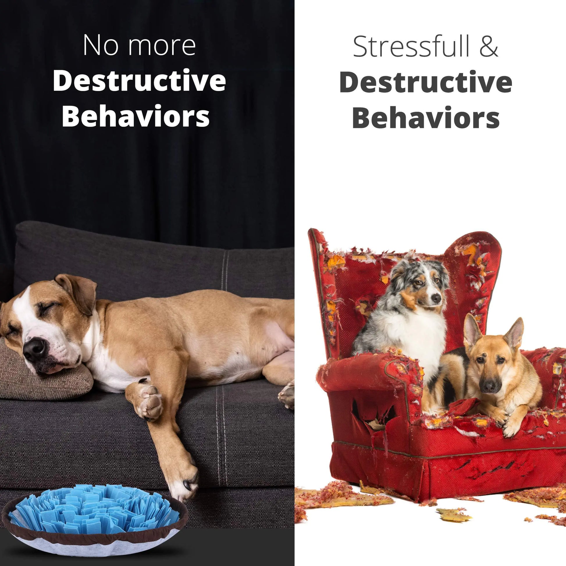 Before and after comparison of a dog on a couch with a blue toy and a destroyed chair with dogs on it.