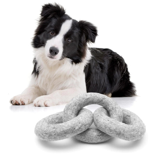 Black and white dog with a gray knotted dog toy on a white background