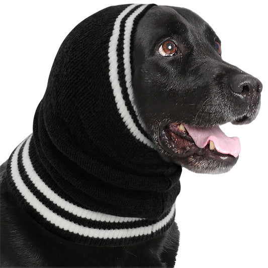 Black dog wearing a black and white striped hoodie on a white background