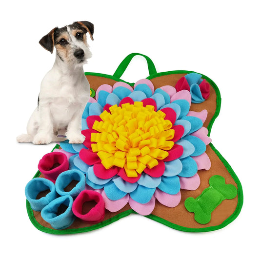 Colorful dog toy shaped like a butterfly with a dog sitting next to it on a white background
