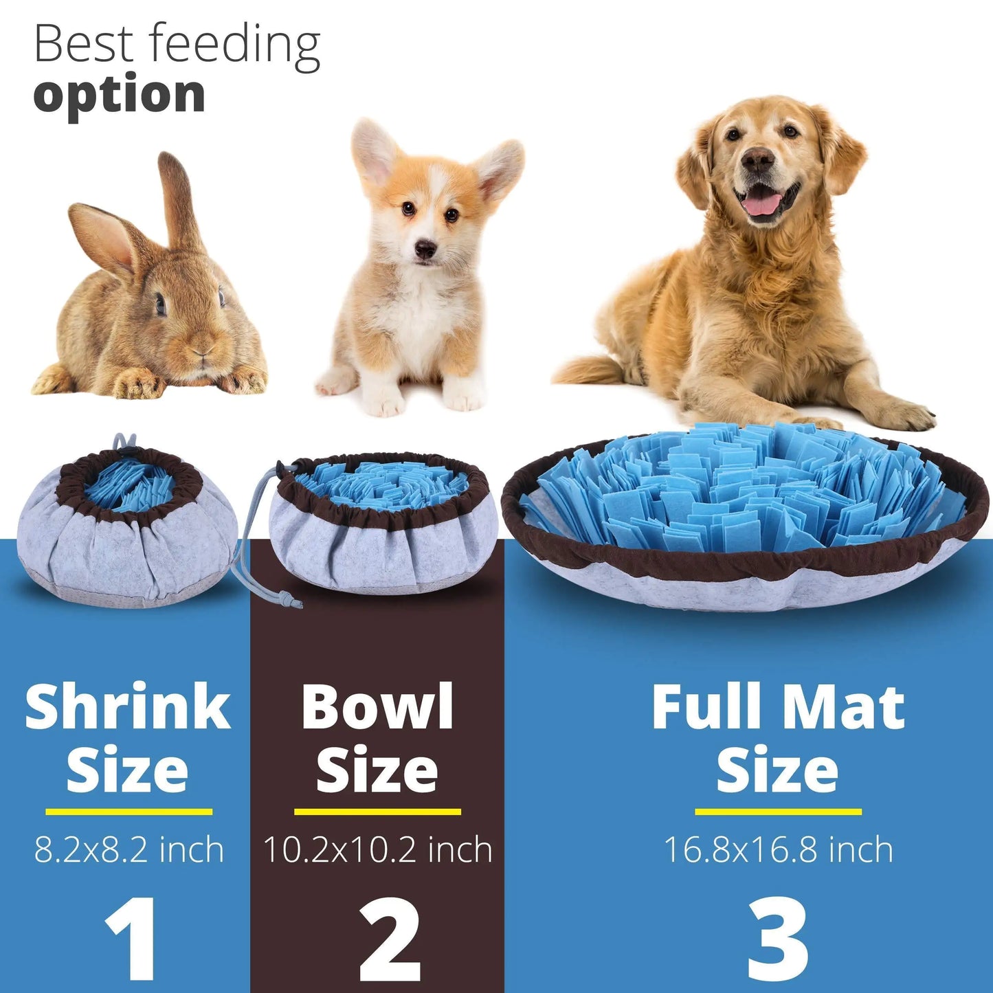 Dog and rabbit with feeding mats and bowls, showing different sizes.