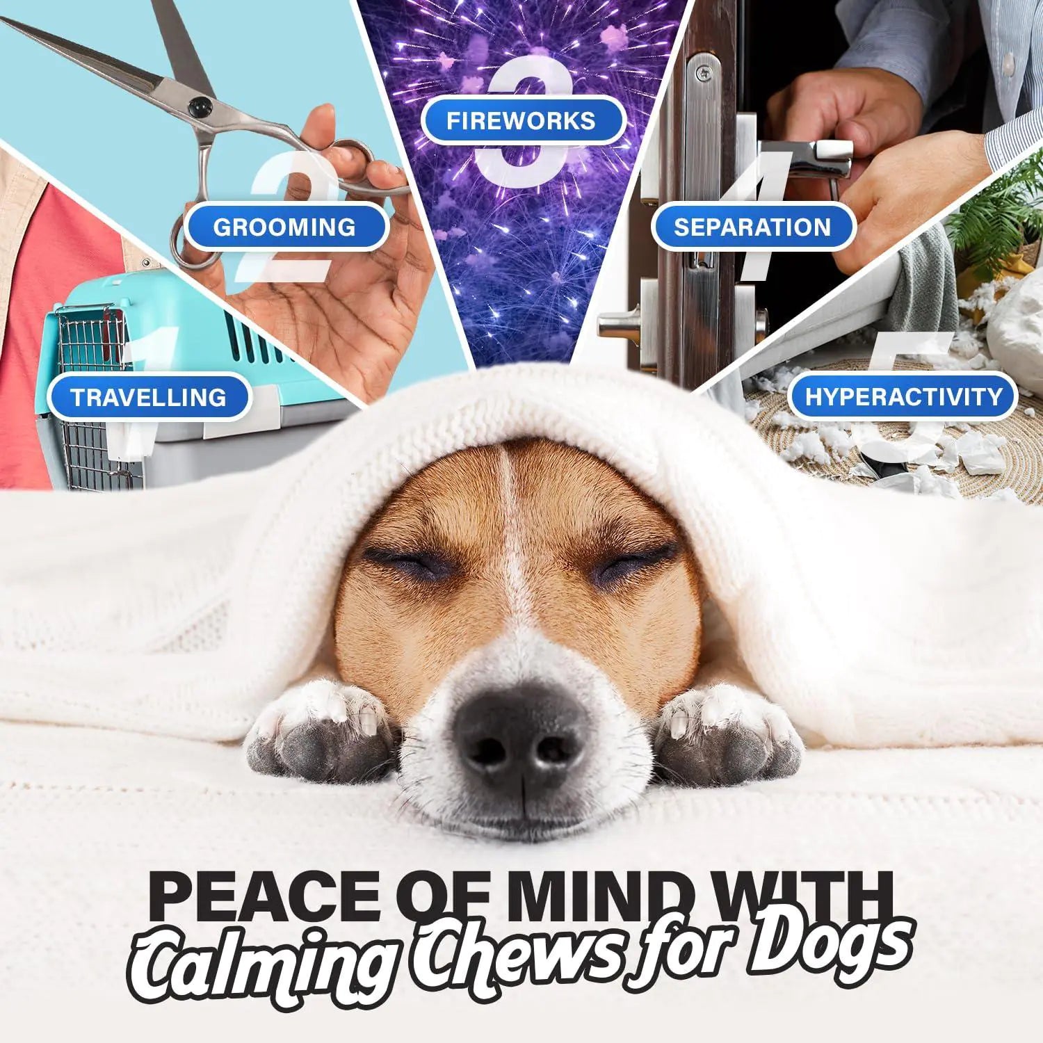 Dog lying down with a hood, surrounded by images related to grooming, fireworks, separation, travelling, and hyperactivity with text 'Peace of Mind with Calming Chews for Dogs'.