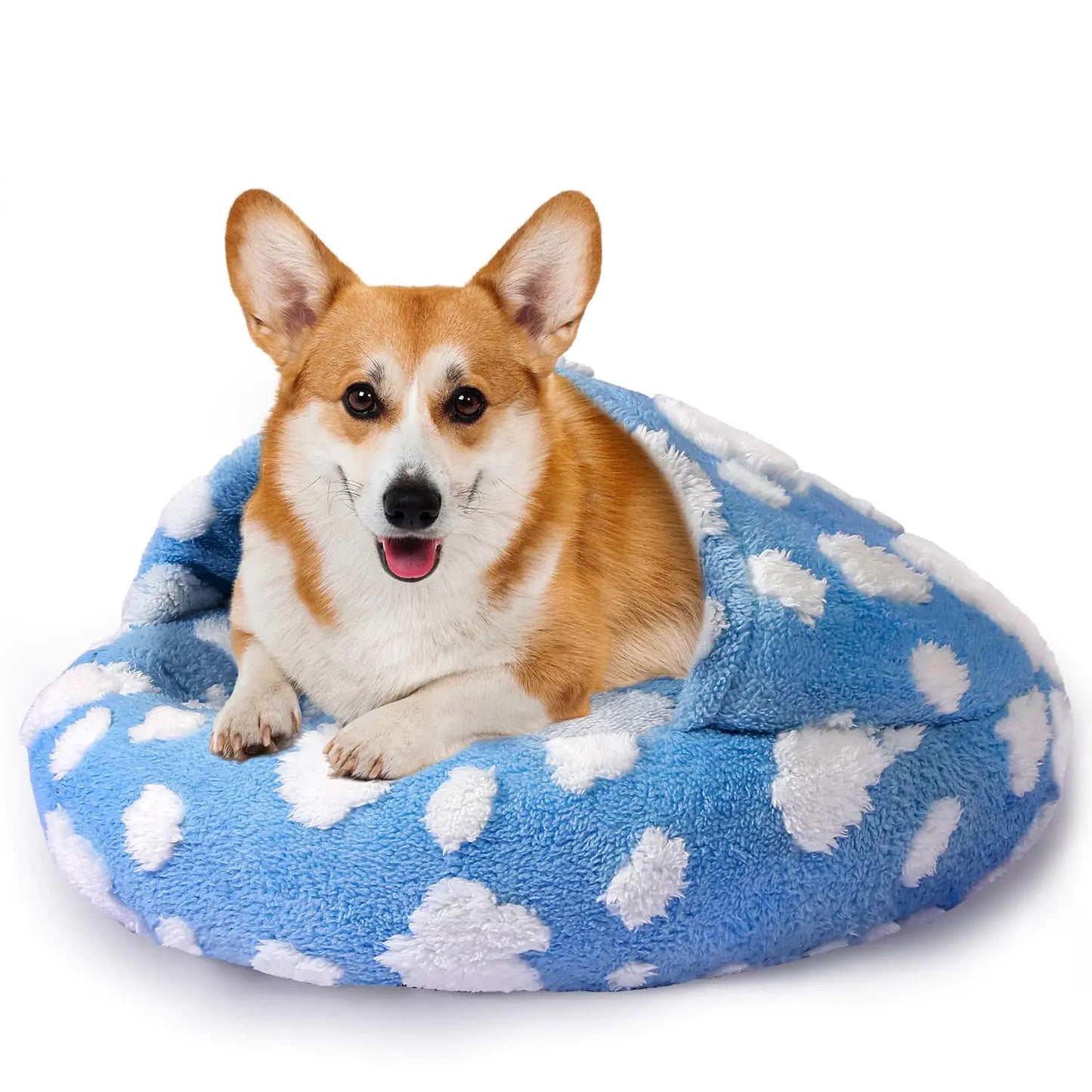 Dog lying on a blue cloud-patterned pet bed against a white background