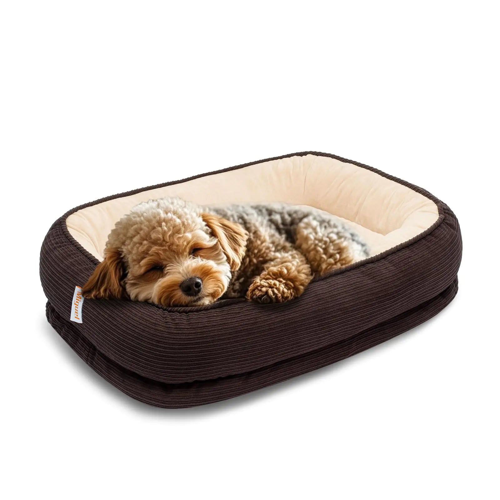 Dog lying on a brown pet bed with beige interior on a white background