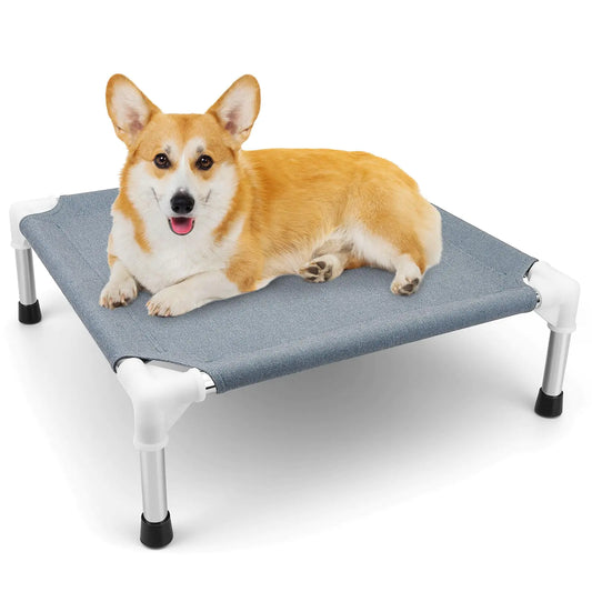 Dog lying on a elevated pet bed with a white background