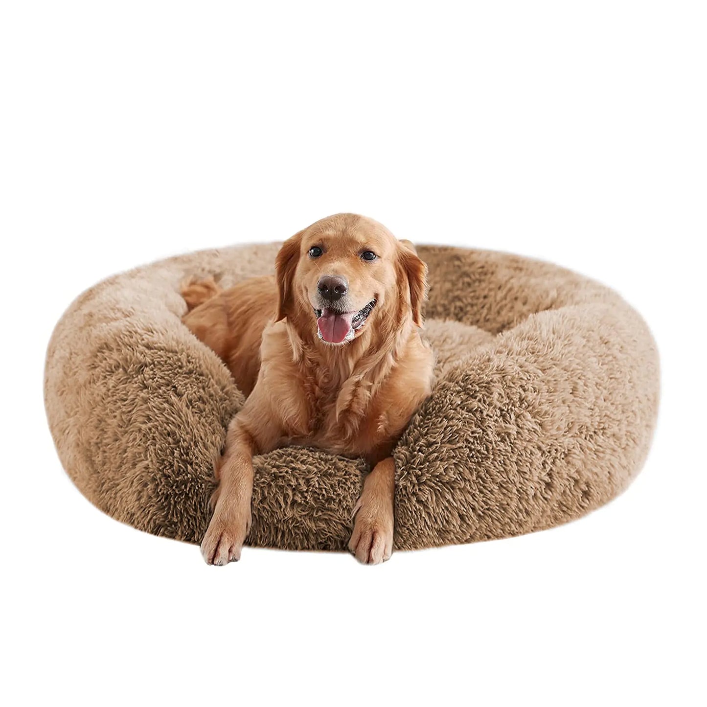 Dog lying on a fluffy beige donut bed against a white background