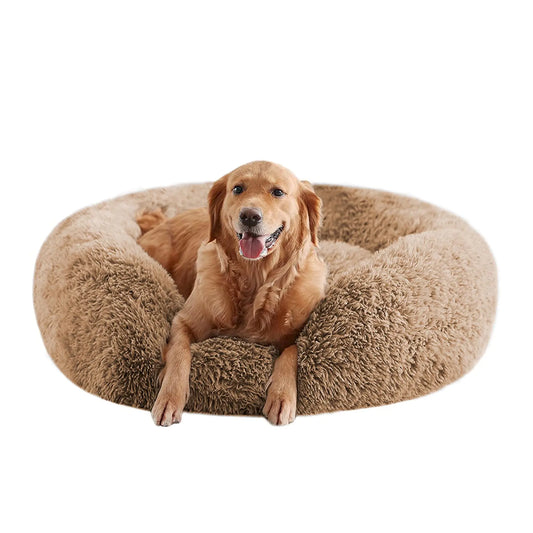 Dog lying on a fluffy beige donut bed against a white background