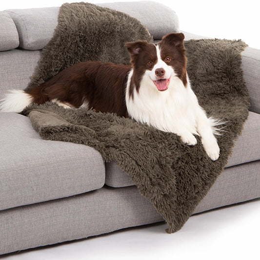 Dog lying on a fluffy brown blanket on a gray couch