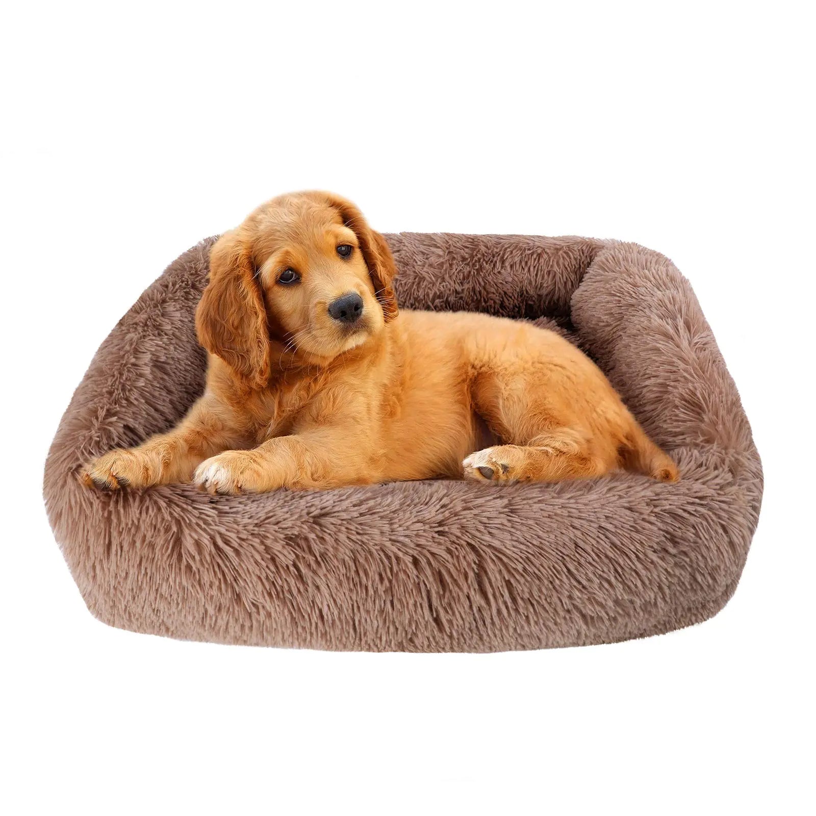 Dog lying on a fluffy brown pet bed against a white background