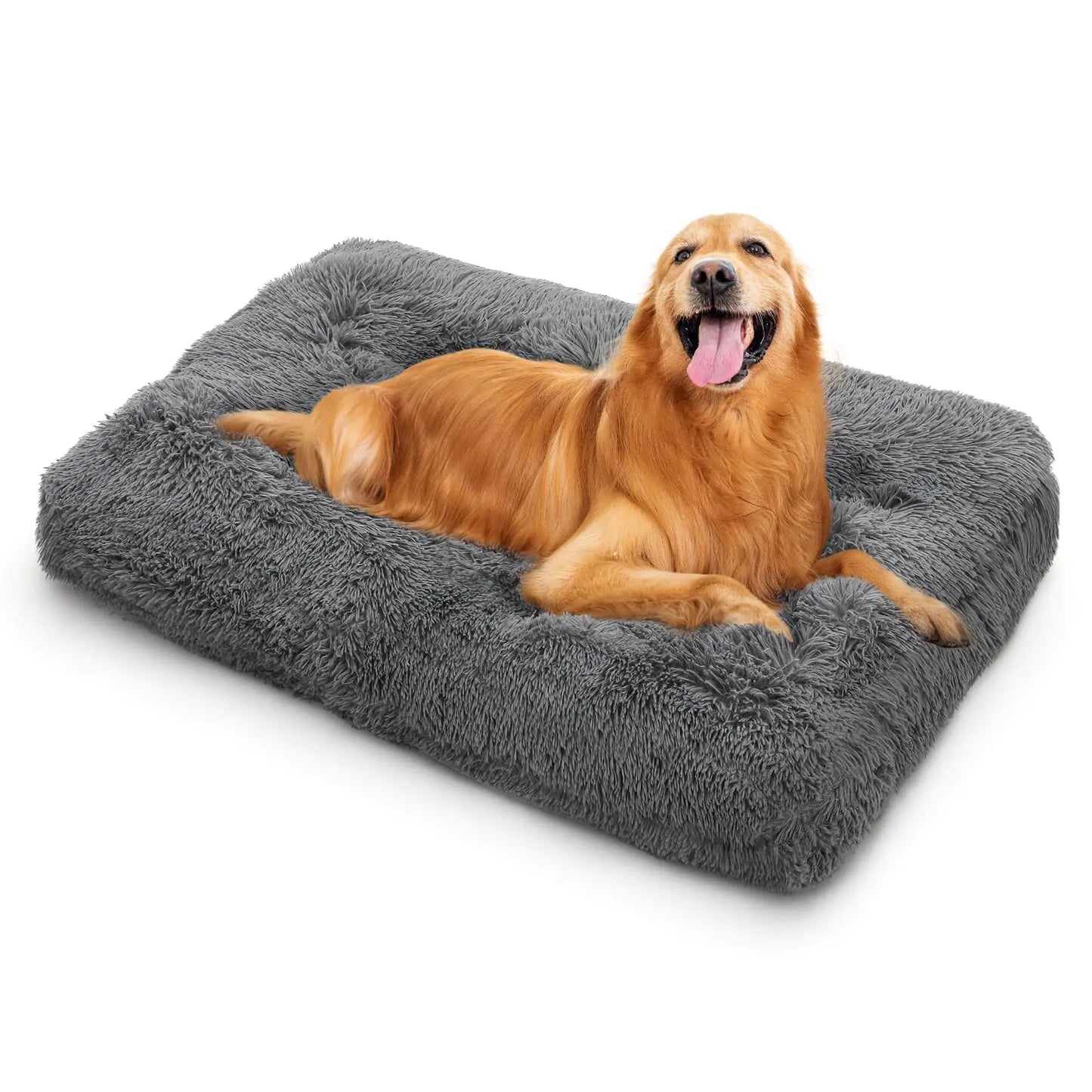 Dog lying on a fluffy gray pet bed with a white background