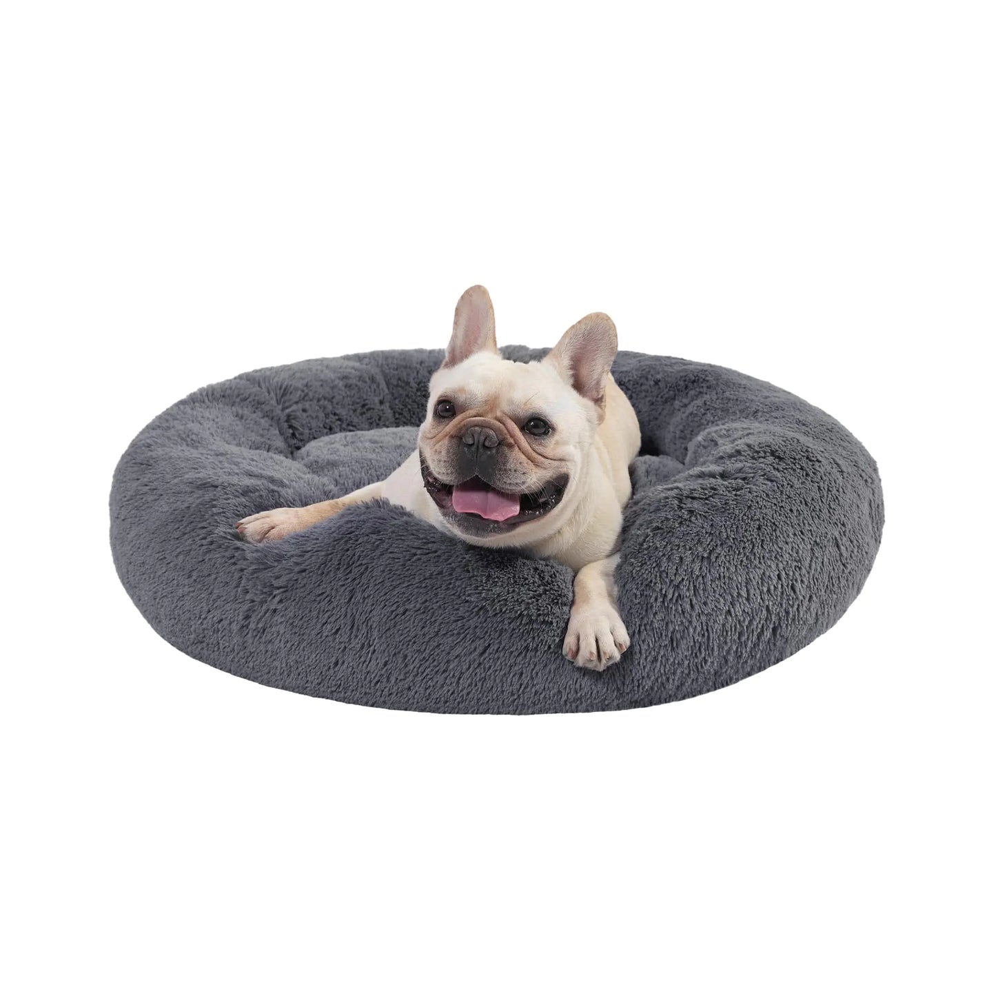 Dog lying on a gray donut-shaped pet bed against a white background