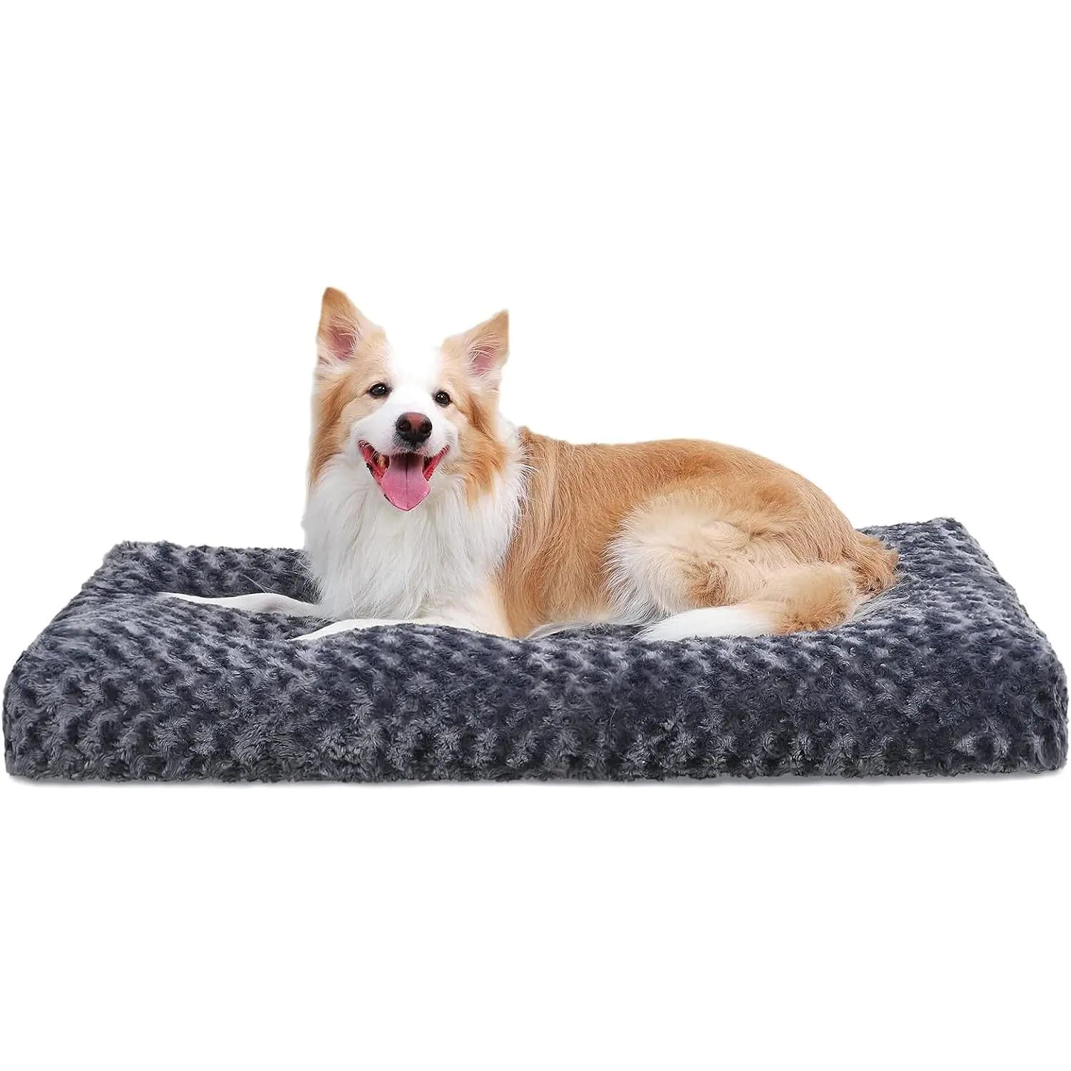 Dog lying on a gray pet bed with a white background