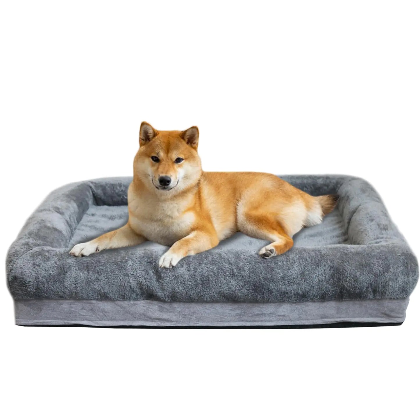 Dog lying on a gray pet bed with a white background