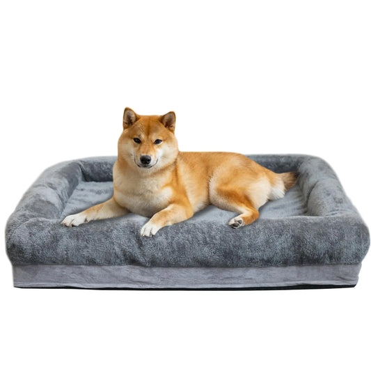 Dog lying on a gray pet bed with a white background