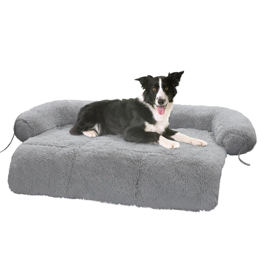 Dog lying on a gray pet sofa with a white background