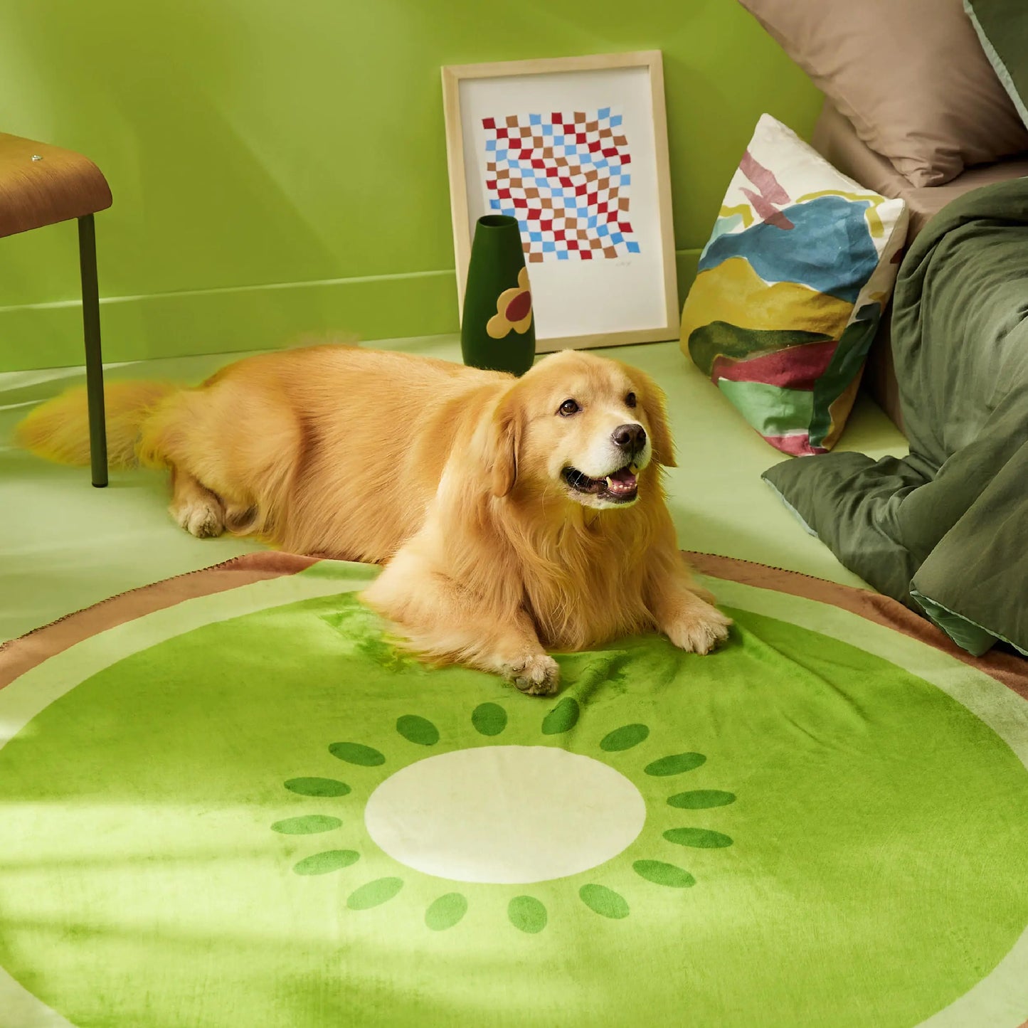 Dog lying on a green rug with a colorful pillow and abstract art in the background