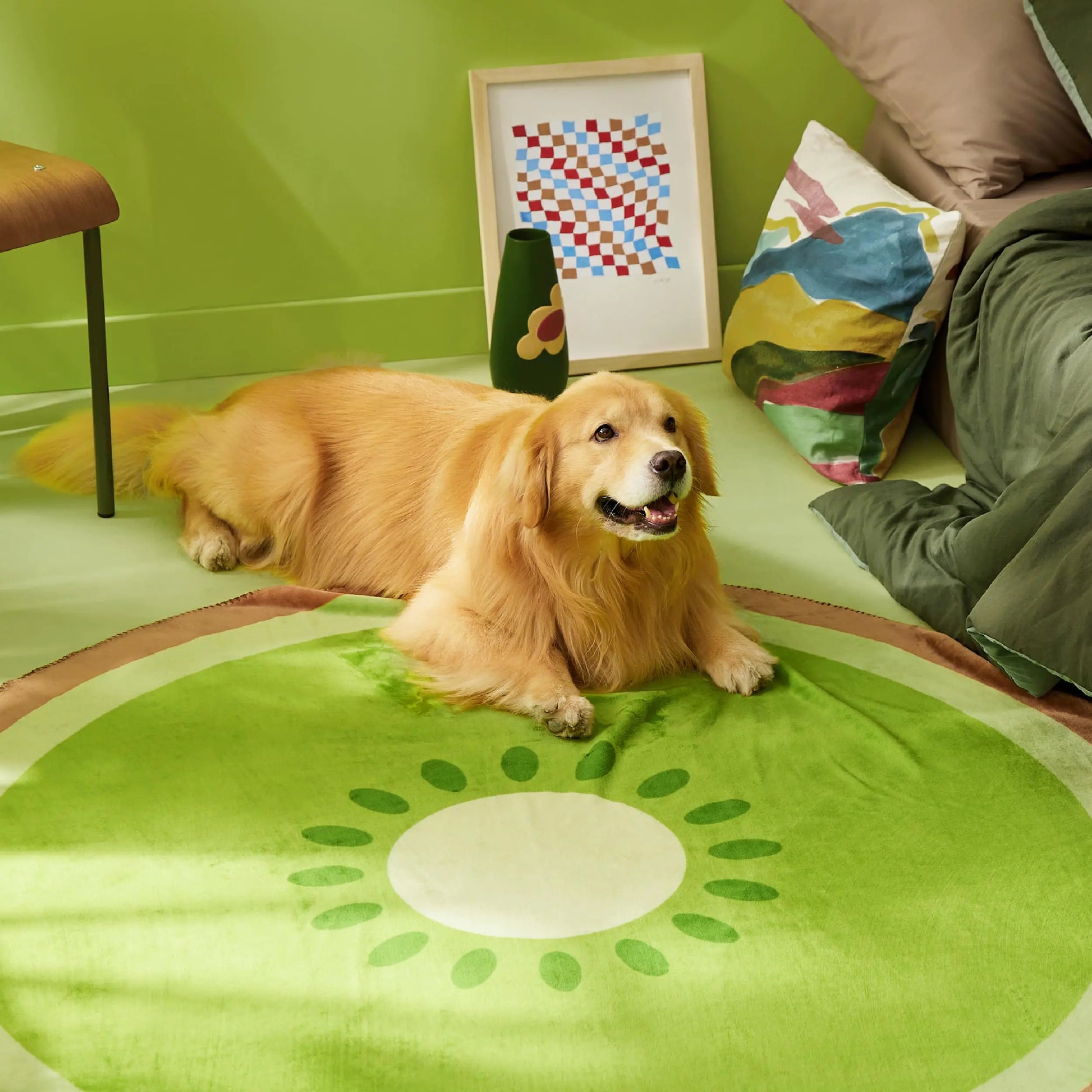 Dog lying on a green rug with a colorful pillow and abstract art in the background