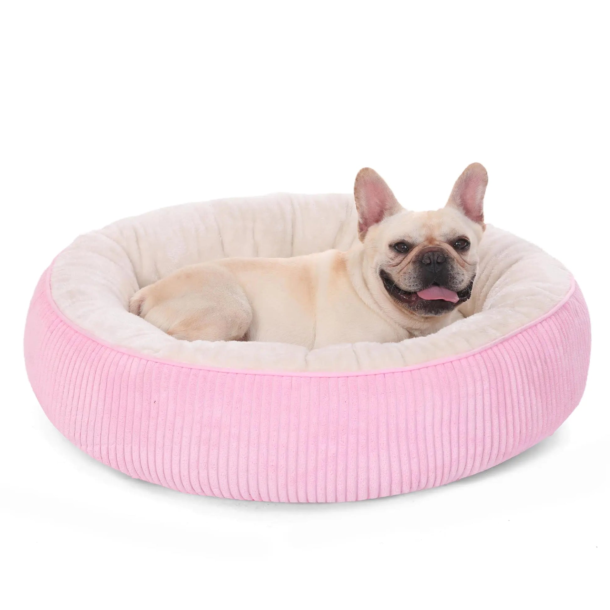 Dog lying on a pink and white pet bed with a white background