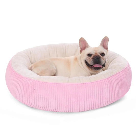 Dog lying on a pink and white pet bed with a white background