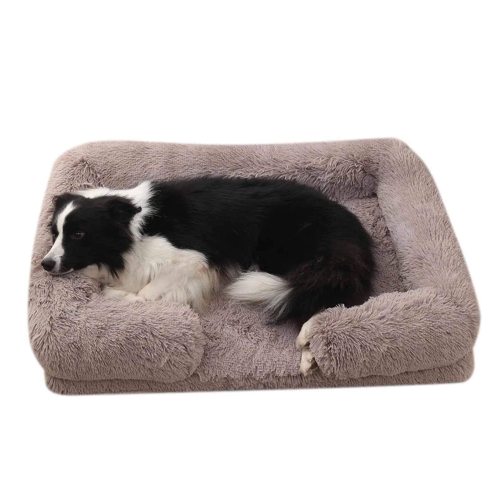 Dog lying on a plush brown pet bed against a white background