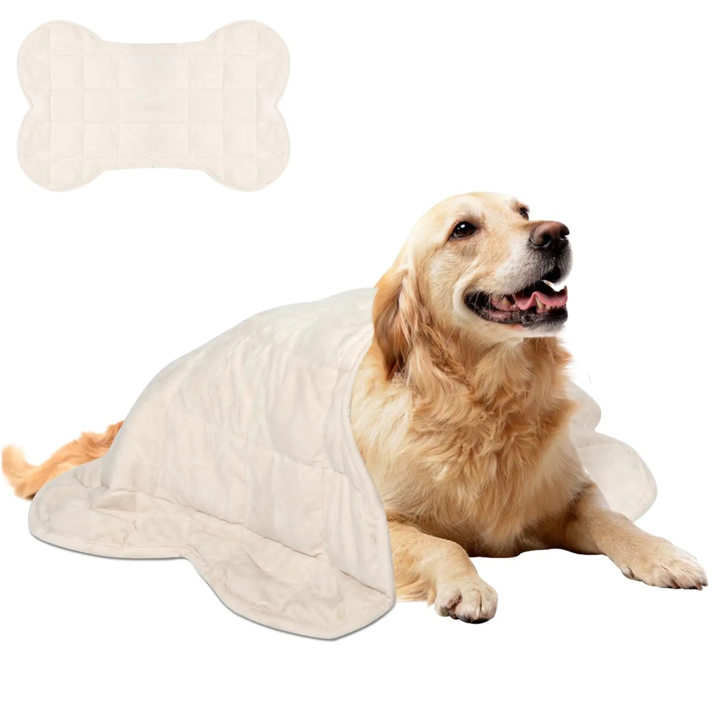 Dog lying on a white blanket