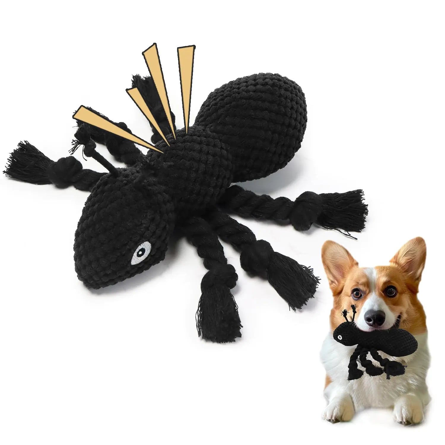 Dog playing with a black spider-shaped toy on a white background