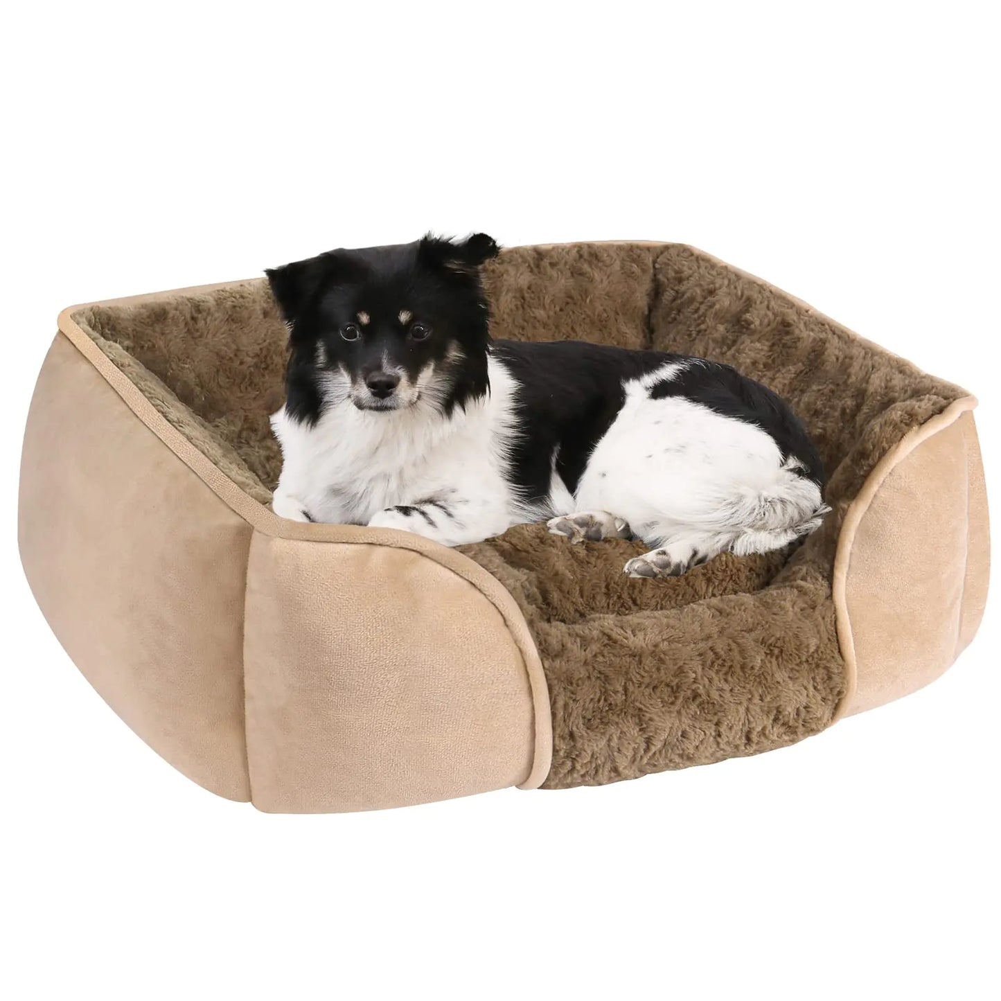 Dog sitting in a brown and beige pet bed on a white background