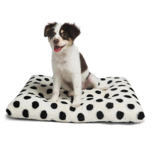 Dog sitting on a black and white polka dot pet bed against a white background