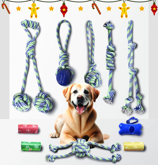 Dog toys with a dog sitting among them on a white background