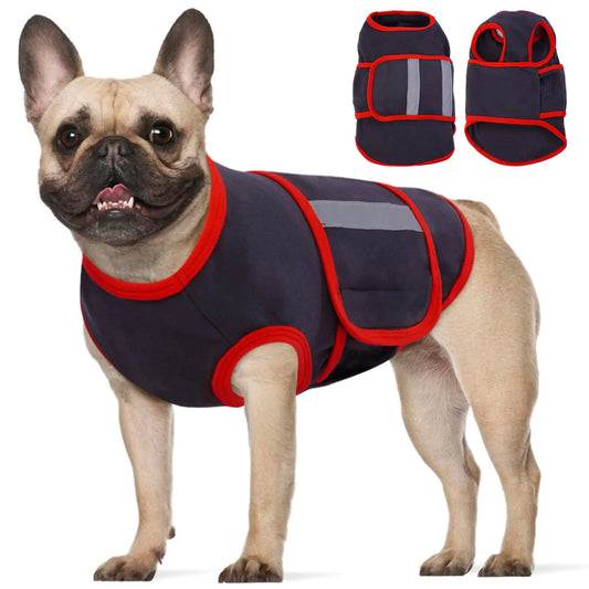Dog wearing a black and red  Anxiety Jacket