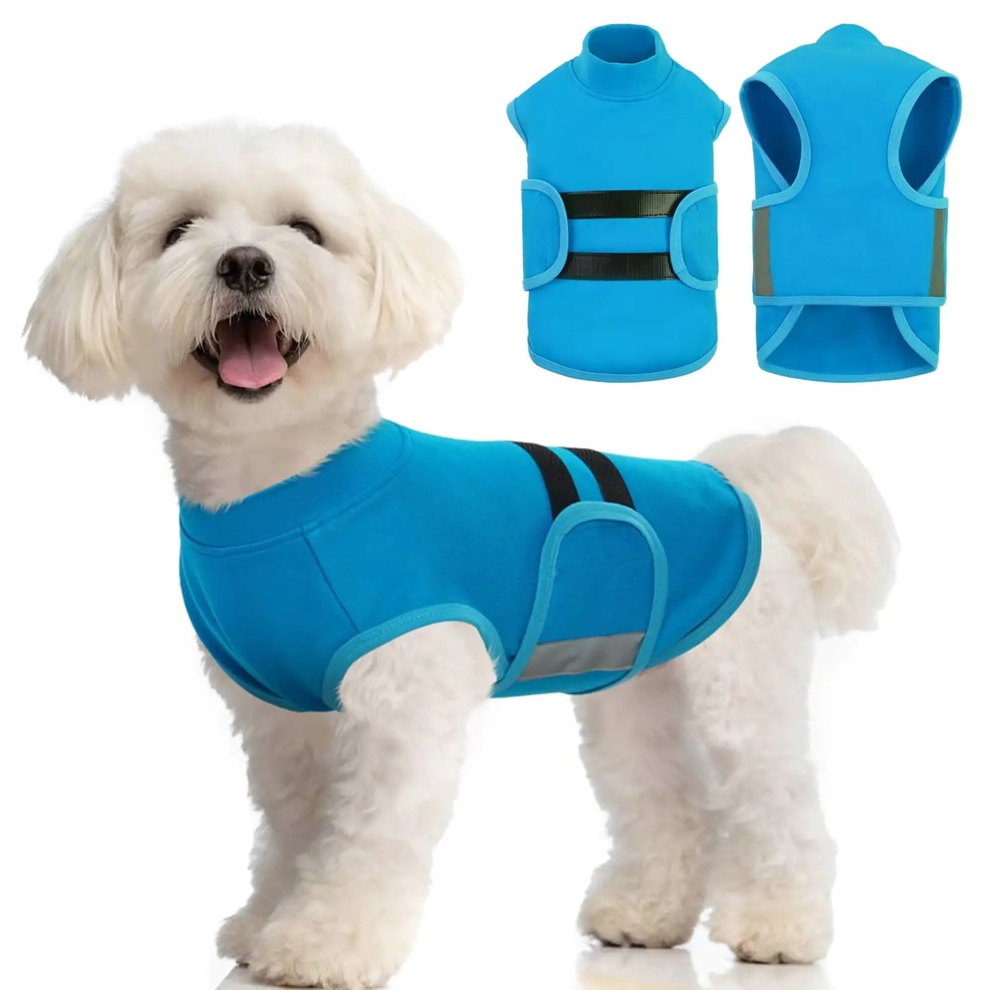 Dog wearing a blue anxiety jacket with additional life jackets displayed above.