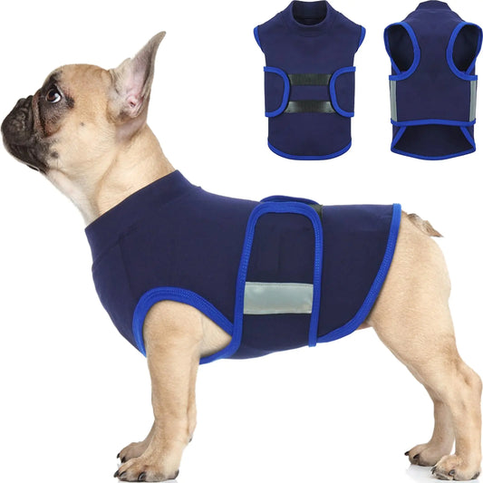 Dog wearing a blue anxiety vest with close-up insets on a white background