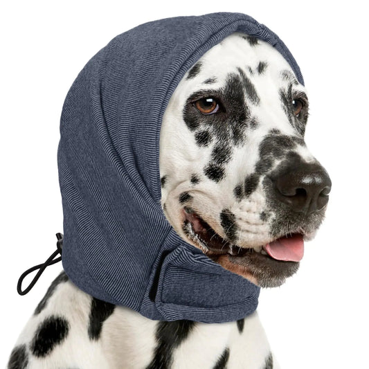 Dog wearing a blue hood with a white background