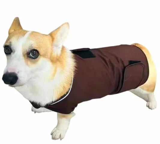 Dog wearing a brown jacket on a white background