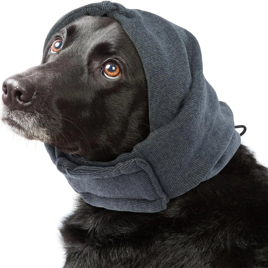 Dog wearing a gray hood on a white background