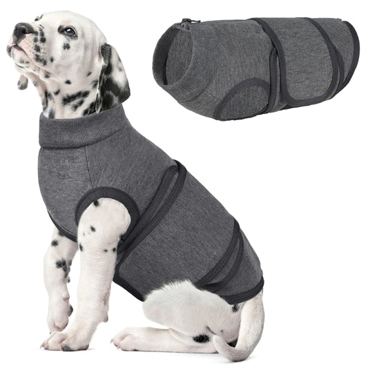Dog wearing a gray recovery suit anxiety jacket with a close-up of the suit on a white background