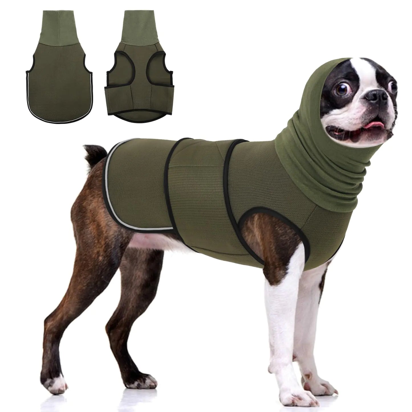 Dog wearing a green anxiety jacket with a hood on a white background