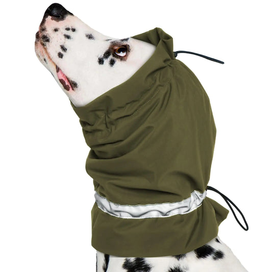 Dog wearing a green raincoat with a hood on a white background