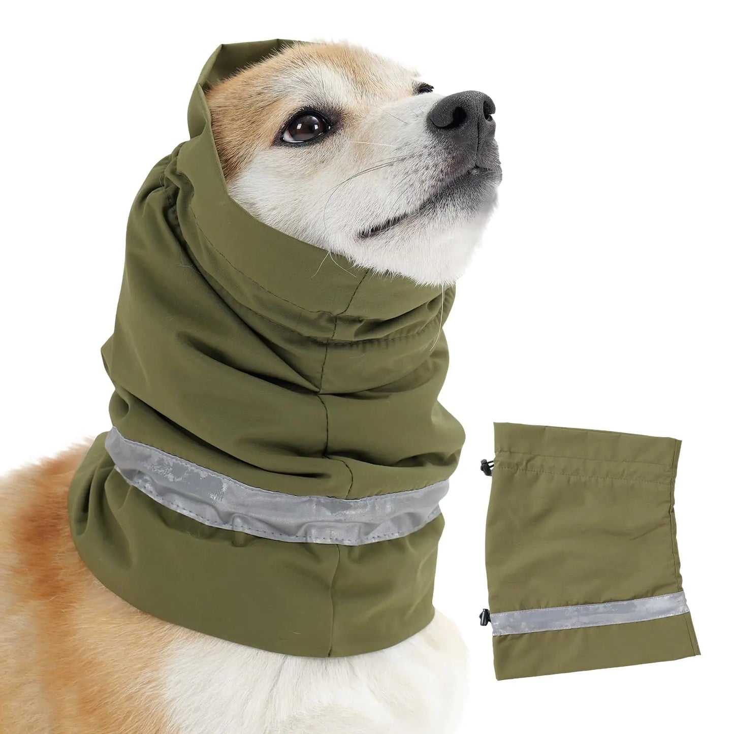 Dog wearing a green waterproof snood with reflective strip on a white background