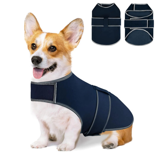Dog wearing a navy blue anxiety jacket with two additional views displayed above on a white background